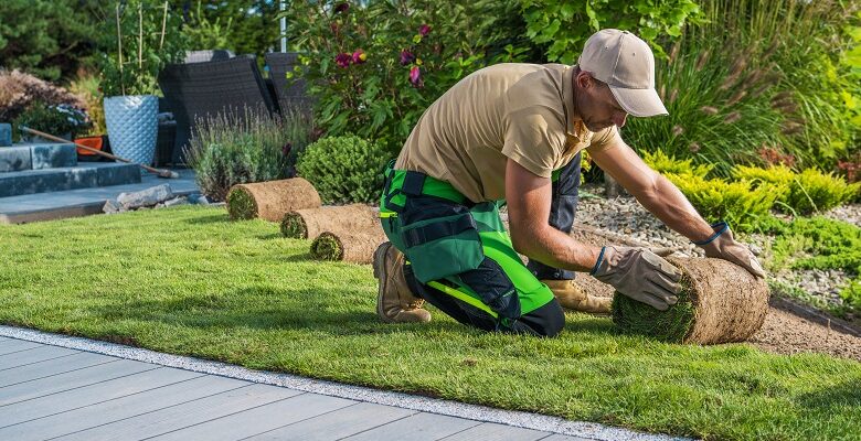 Professional Landscaper